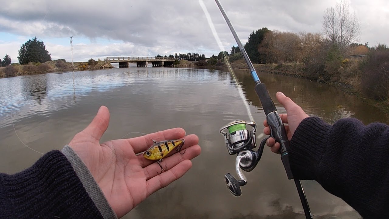 Will BROWN TROUT Eat BASS LURES? (Surprise Catch) YouTube