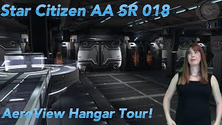 Star Citizen AA SR018 Aeroview Hangar Tour!