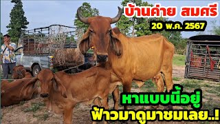 พาชมตลาดนัดบ้านค่าย สมศรี 20 พ.ค.67 ใครหาแบบนี้อยู่..! รีบมาดูมาชมเลยครับ