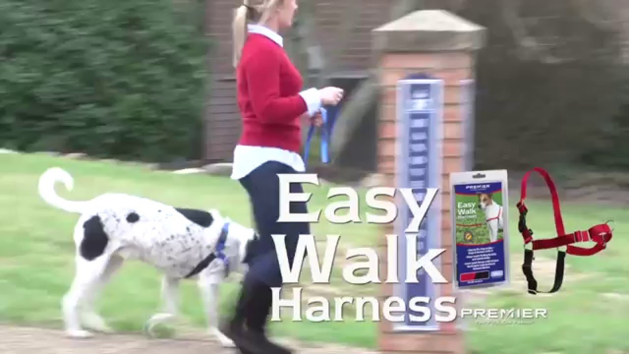 Easy Walk Harness By PetSafe YouTube