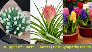18 Types of Funeral Flowers ||  Best Sympathy Plants || #indoorplants