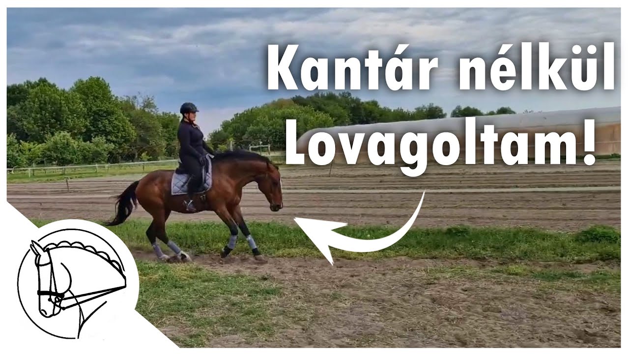 Kantár nélkülizés!