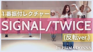 【振付レクチャー】SIGNAL \/ TWICE １番ABメロ編 反転ver. 트와이스 dance tutorial by PRIMA DONNA