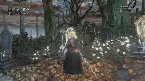 Bloodborne 属性