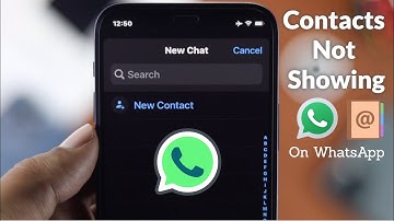 How To Fix- WhatsApp Not Showing Contacts Names! [iPhone