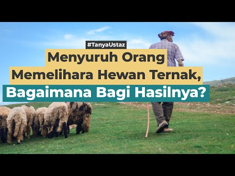 Video: Kartu kredit masa tenggang