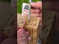 O truque com fio rígido que salvou o parafuso no buraco espanado #BrasilDIY #GambiarraProfissional