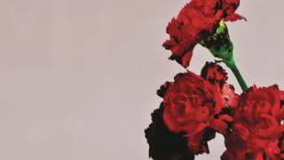 All of Me - John Legend (Cover) screenshot 4