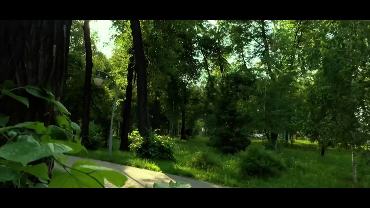 Cinematic live video by me ))) IPhone X