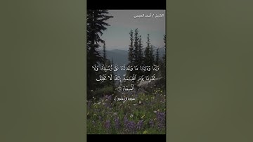 سورة آل عمران 193-195 للشيخ احمد العجمي #الشيخ_احمد_العجمي #آل_عمران #القرآن_الكريم