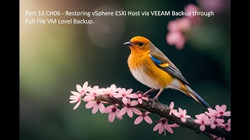 Part 13 CH06 - Restoring vSphere ESXi Host via VEEAM Backup through Full File VM Level Backup.