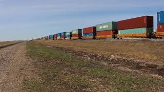 Eastbound CN Train (Intermodal) (Sunday April 28 2024)