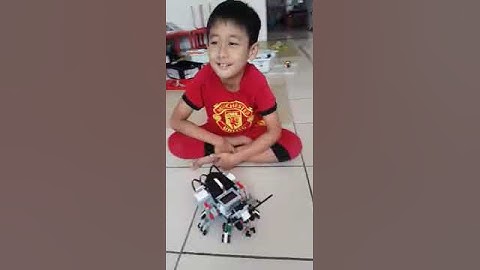 EV3 Insect