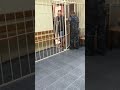 В Сочи суд заключил под стражу мужчину, обвиняемого в убийстве прораба