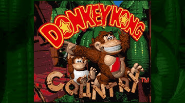 What If Donkey Kong Country Used DK