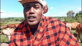 Julius Ole Kuyioni || Enkoropil weekly || Sidai Fm