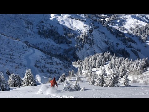 LES SAISIES - 2019 |  4K