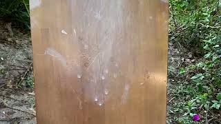 Pepperball TCP and Lifelite launchers powder dispersion on different surfaces screenshot 3
