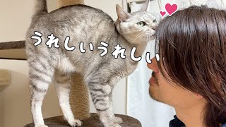 パパが大好きすぎる日の甘えるマロちゃんが可愛い