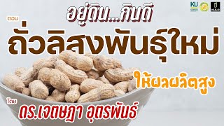 อยู่ดินกินดี | ถั่วลิสงพันธุ์ใหม่ ให้ผลผลิตสูง