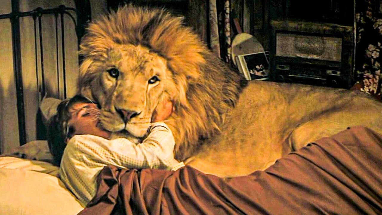 ROAR: La película más peligrosa jamás hecha