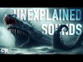 Unexplained Ocean Sounds Quiz