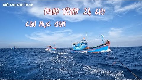 Câu Cá Biển , Câu Mực Đêm , Hành Trình Xuyên Đêm 24 Giờ