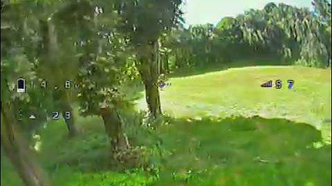 Martian II, Endgegner Baum, EMAX 2205S, Betaflight F4 OSD, 4S Tattu Lipo