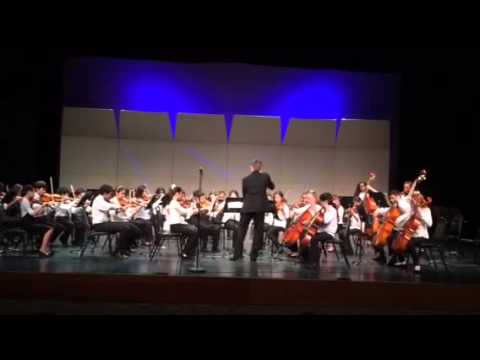 Aldrin Elementary School Orchestra 2015