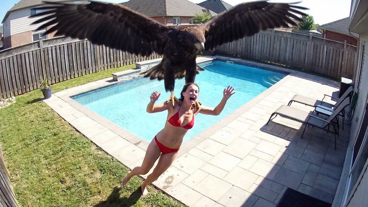 Unbelievable Events That Occurred Right in People’s Backyards – Video