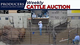 5/16/2024  Producers Livestock Auction Company  Cattle Auction