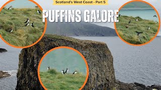 Download Lagu De papegaaiduikers van de kleine Schotse eilanden | Afl. 193 MP3