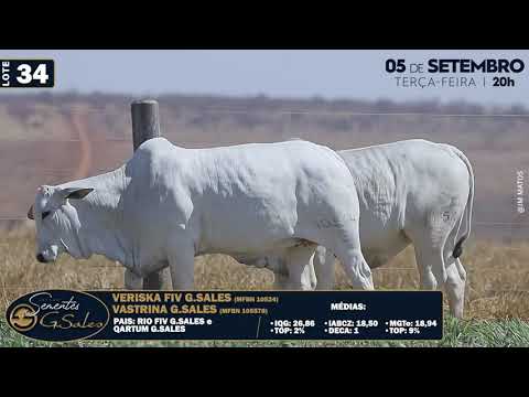 LOTE 34   MFBN 10524 10557