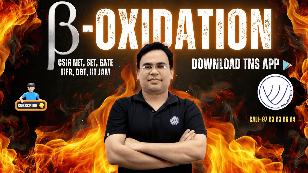 How Your Body Actually Burns Fat (Beta Oxidation Explained)