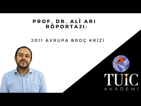 Prof. Dr. Ali Arı Röportajı: 2011 Avrupa Borç Krizi