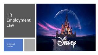 Term Project [First Draft] Employment Law Spring 2020