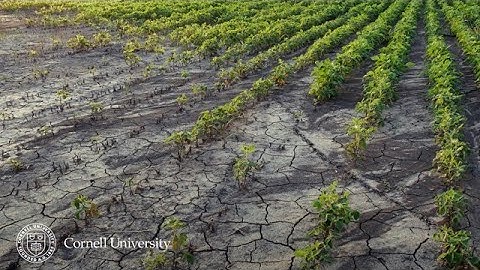 Bridging the Gap Between Climate Science and Policy