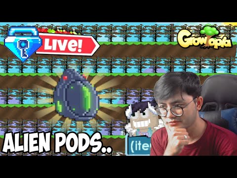 🔴[ LIVE ] ALIEN PODS~ SEMOGA TIDAK ERCON~ #alleyesonrafah # ...