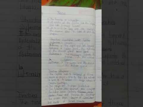 Anatomy and physiology