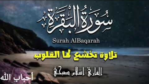 سورة البقرة طاردة الشياطين و السحرة، اسمعها بنية البركة و الرزق 💛💦 تلاوة تخشع لها القلوب