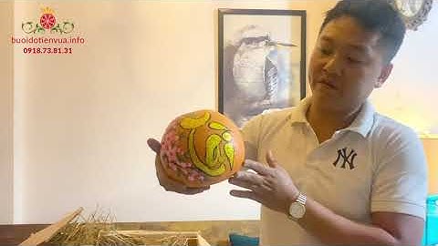 REVIEW BƯỞI ĐỎ TIẾN VUA LUẬN VĂN TẠI SÀI GÒN  |  BUOIDOTIENVUA.INFO