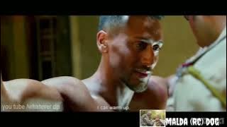 Indian Army Tiger Shroff Baaghi 2 action movie