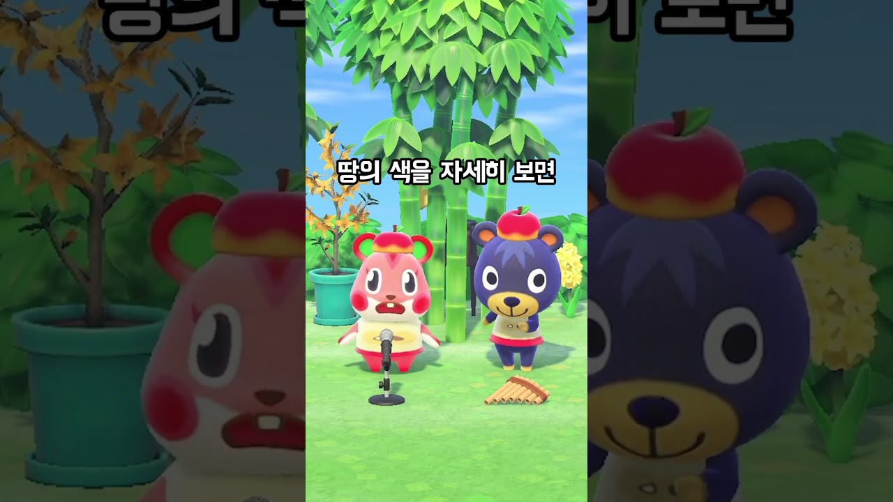 샐리의 모동숲 Sallycrossing 최근 영상 - 유하 샐리의 모동숲 Sallycrossing 최근 영상 - 유하