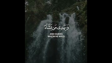 سورة يونس القارئ رعد الكردي حالات واتس اب القرآنيه