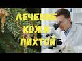 Пихта и здоровье кожи: что важно знать? 🌲 Натуральный уход и полезные свойства