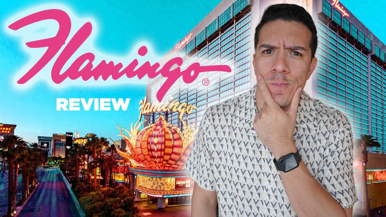 5 Reasons to Stay at the Flamingo Hotel in Las Vegas + Tips to make your  stay amazing - Family Travel Go LLC