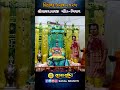 Hindola Utsav 2025 Bhiyal Hindola Reelsvideo Shorts Shortvideos Shortsfeed Short Shortvideo Hindola Utsav 2025 Bhiyal Hindola Reelsvideo Shorts Shortvideos Shortsfeed Short Shortvideo
