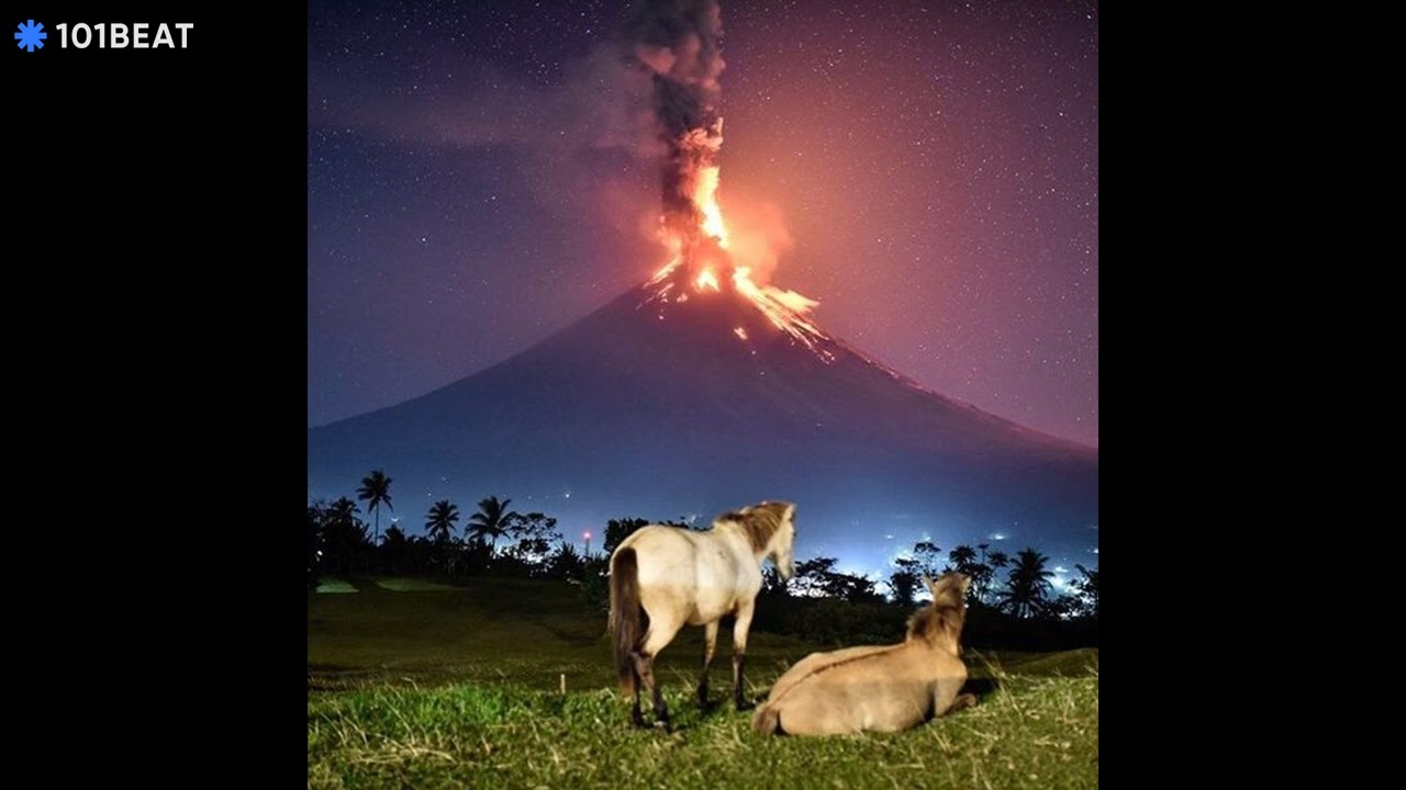 [FREE] GINSENG & MISOGI TYPE BEAT - 