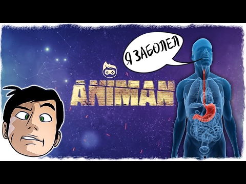 Animan Video