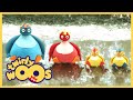 趣趣知知鸟 Twirlywoos 过度 系列1 第 11集 儿童视频 适合幼儿的视频 趣趣知知鸟 Twirlywoos 过度 系列1 第 11集 儿童视频 适合幼儿的视频